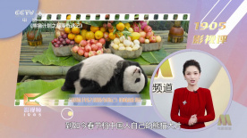 我和漂亮少妇的销魂性事